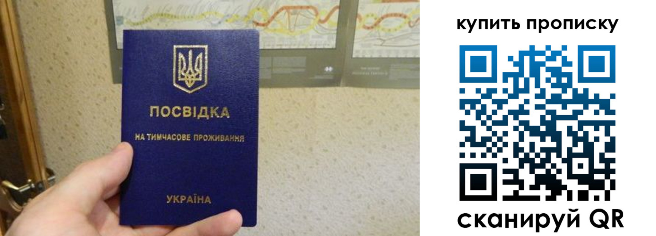 временная регистрация поиск в Хилке
